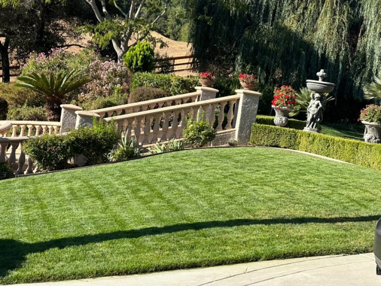 Landscaping project by HC Gardening & Landscaping in the East Bay Area