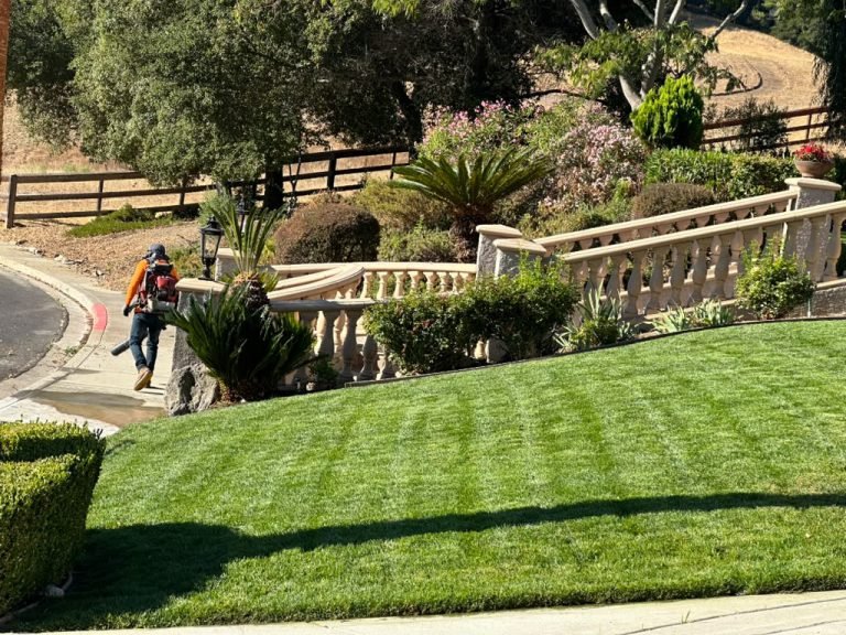 Landscaping project by HC Gardening & Landscaping in the East Bay Area