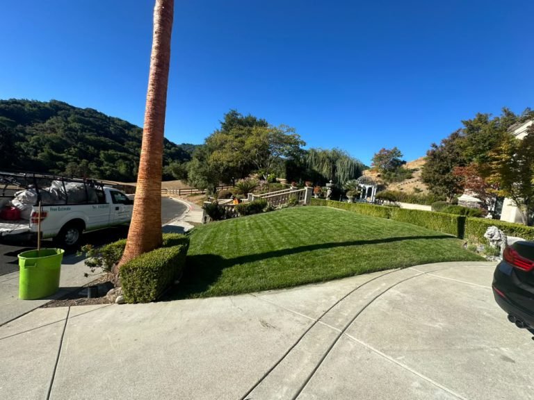 Landscaping project by HC Gardening & Landscaping in the East Bay Area