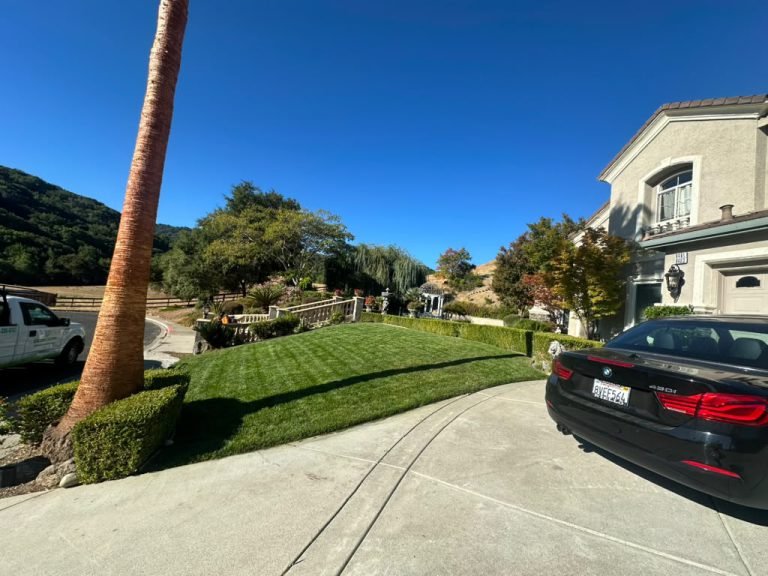 Landscaping project by HC Gardening & Landscaping in the East Bay Area