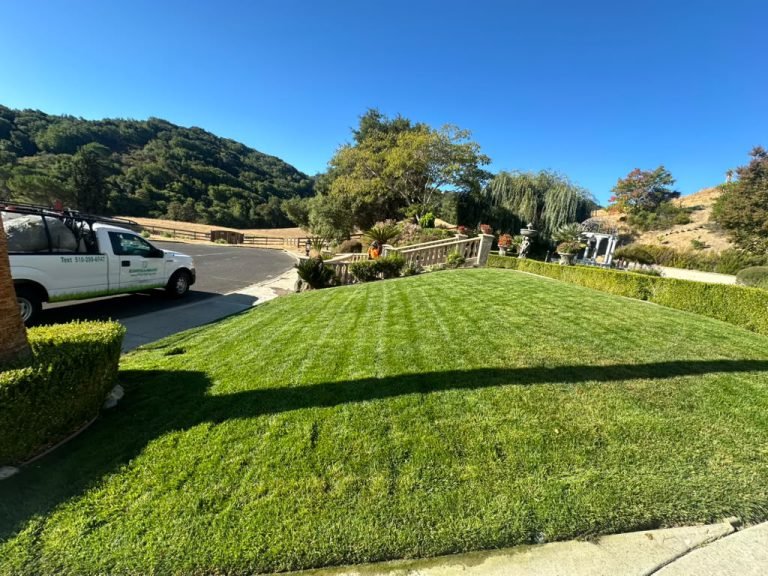 Landscaping project by HC Gardening & Landscaping in the East Bay Area