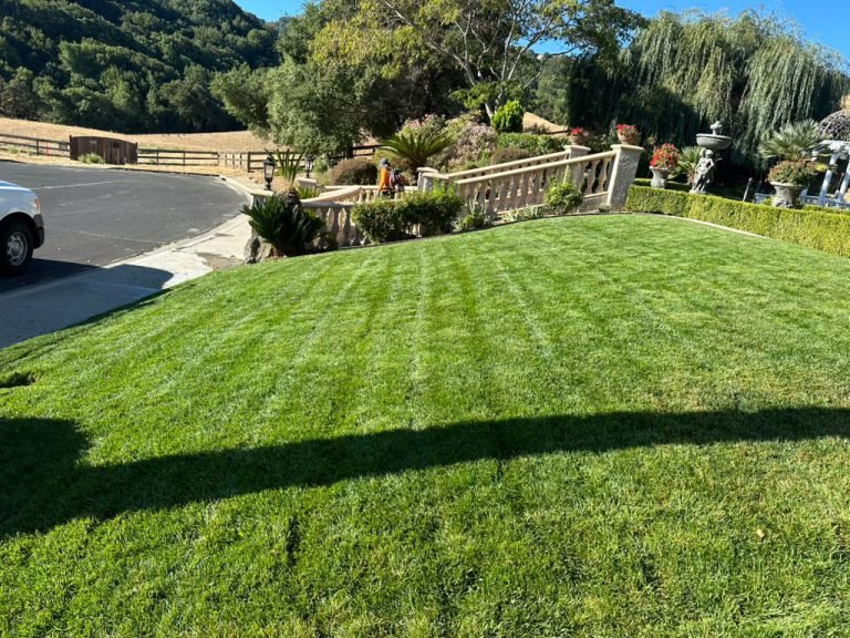Landscaping project by HC Gardening & Landscaping in the East Bay Area