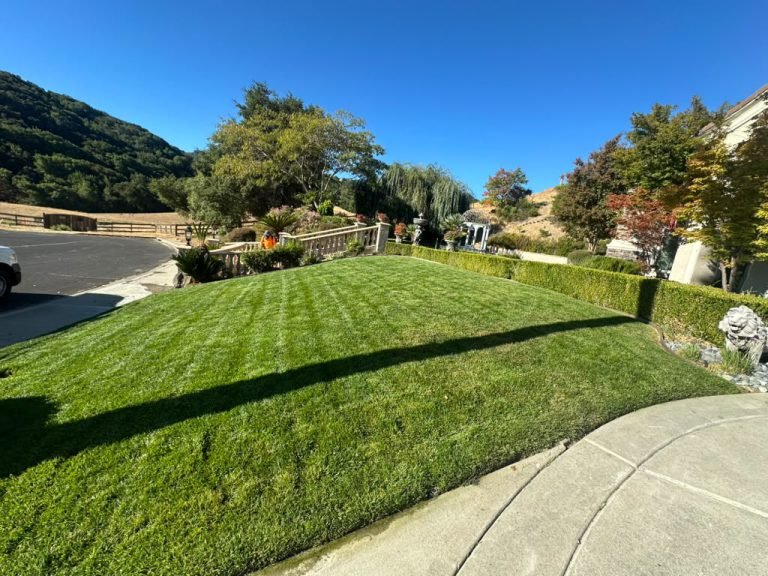 Landscaping project by HC Gardening & Landscaping in the East Bay Area