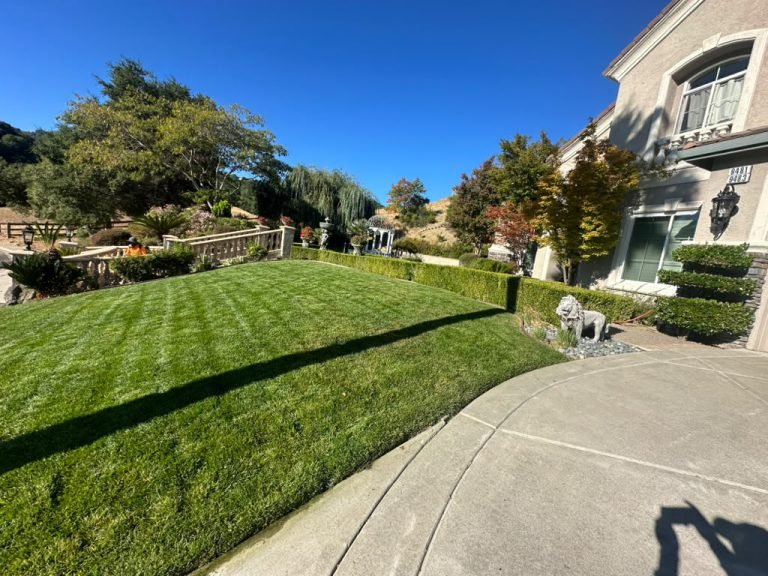 Landscaping project by HC Gardening & Landscaping in the East Bay Area