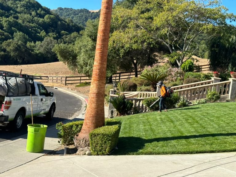 Landscaping project by HC Gardening & Landscaping in the East Bay Area