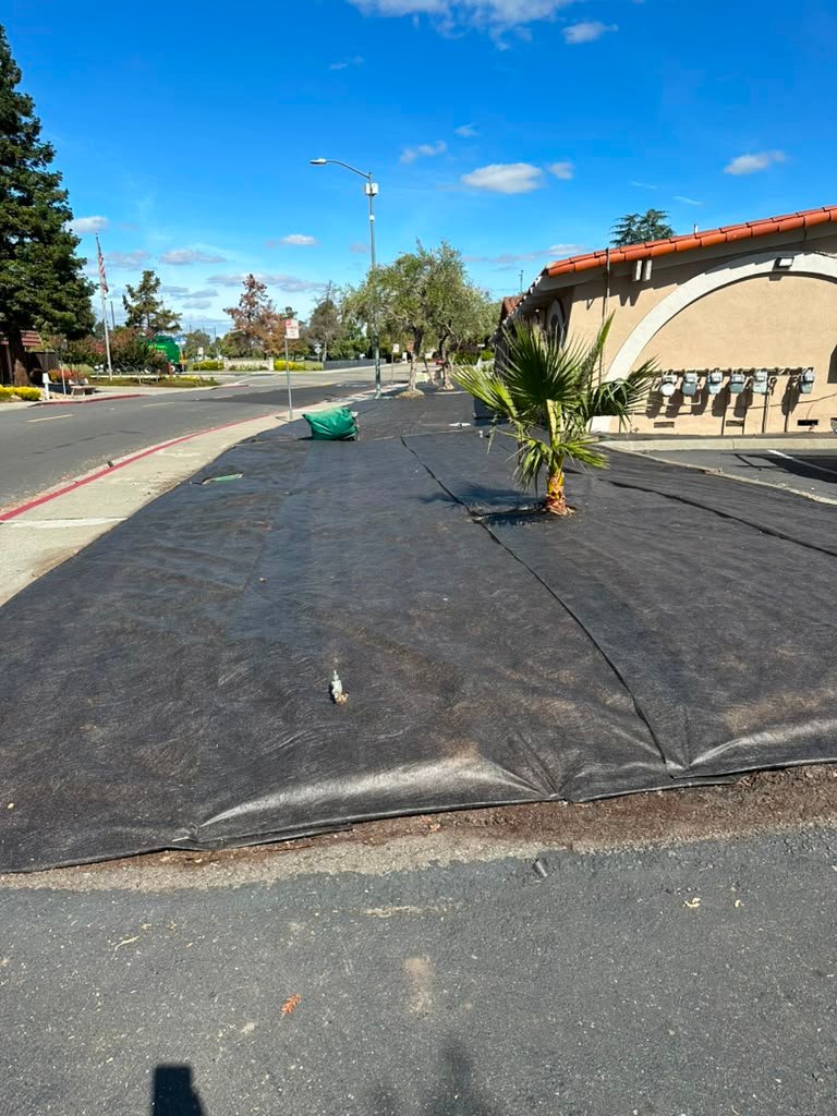 Landscaping project by HC Gardening & Landscaping in the East Bay Area