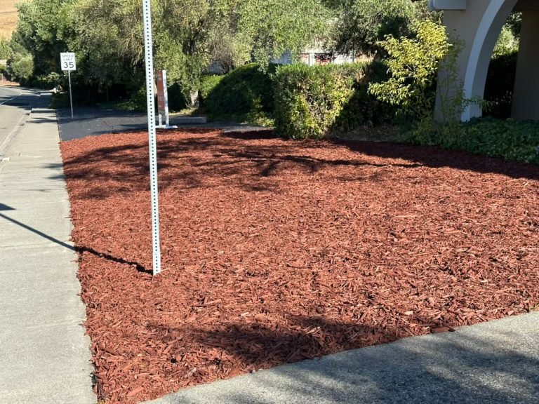 Landscaping project by HC Gardening & Landscaping in the East Bay Area