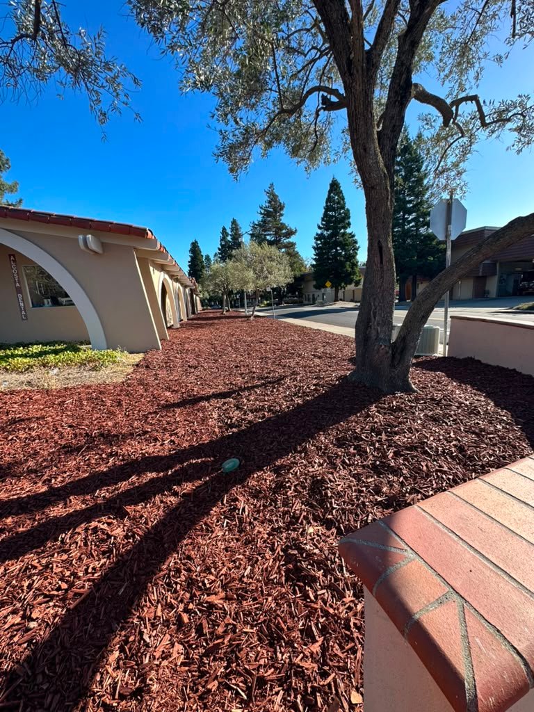 Landscaping project by HC Gardening & Landscaping in the East Bay Area