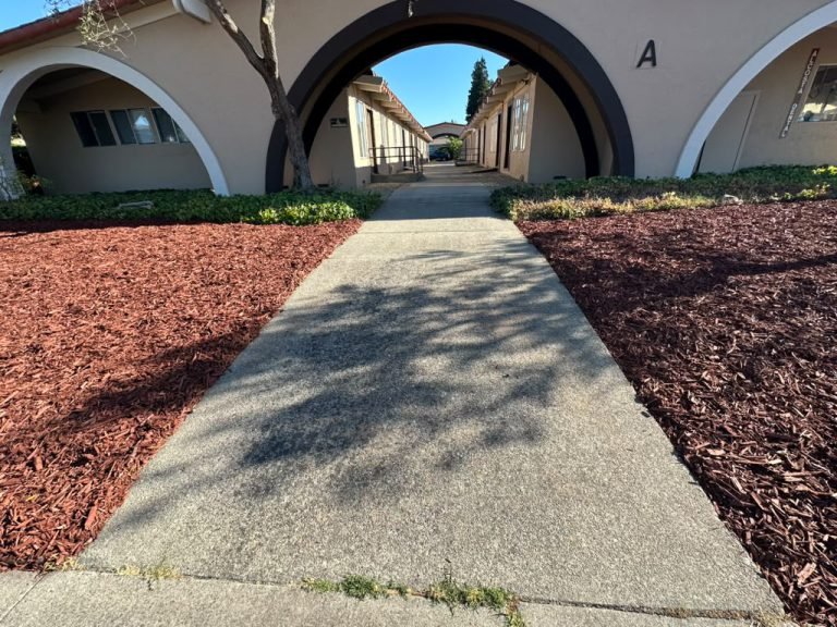 Landscaping project by HC Gardening & Landscaping in the East Bay Area