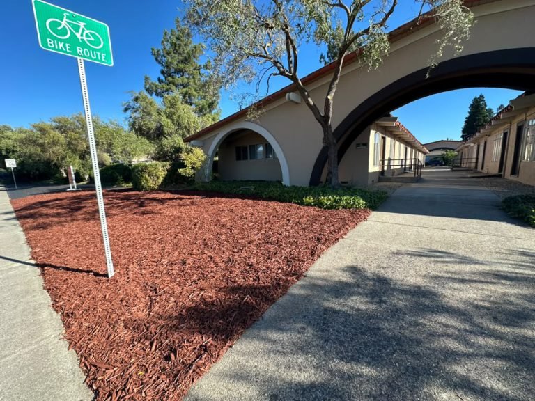 Landscaping project by HC Gardening & Landscaping in the East Bay Area