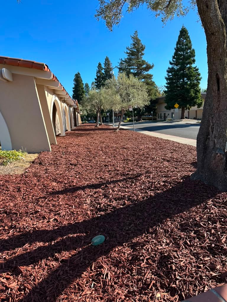 Landscaping project by HC Gardening & Landscaping in the East Bay Area