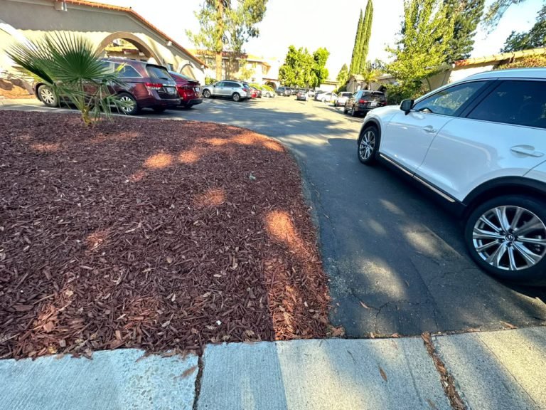 Landscaping project by HC Gardening & Landscaping in the East Bay Area