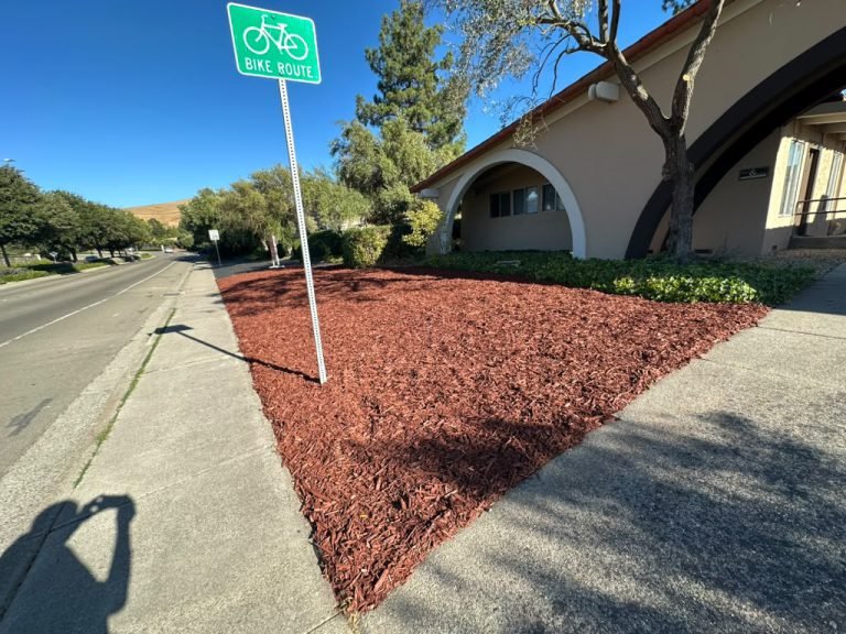 Landscaping project by HC Gardening & Landscaping in the East Bay Area