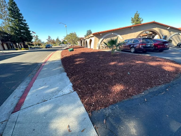 Landscaping project by HC Gardening & Landscaping in the East Bay Area