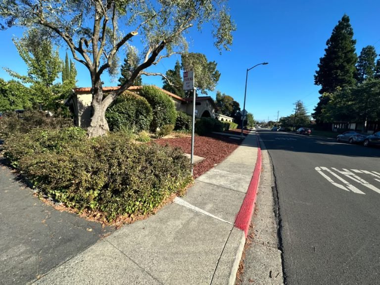 Landscaping project by HC Gardening & Landscaping in the East Bay Area