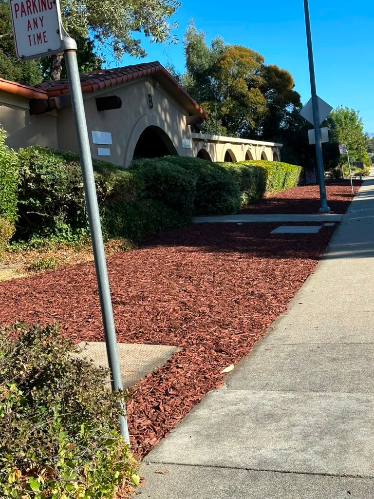 Landscaping project by HC Gardening & Landscaping in the East Bay Area