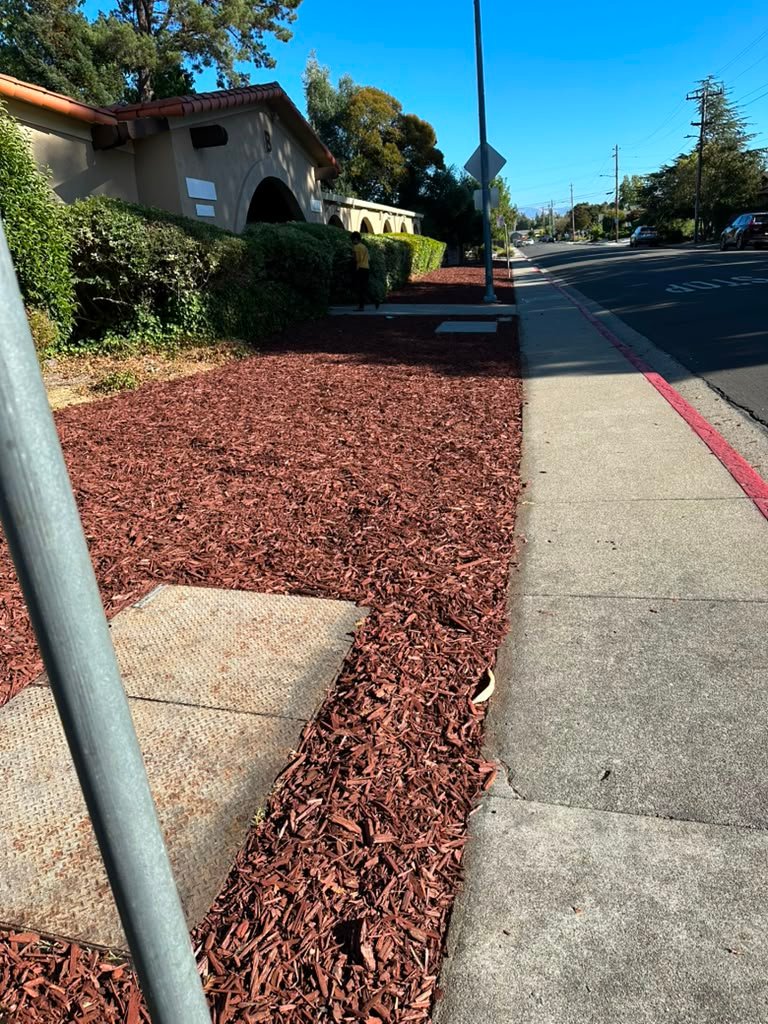 Landscaping project by HC Gardening & Landscaping in the East Bay Area
