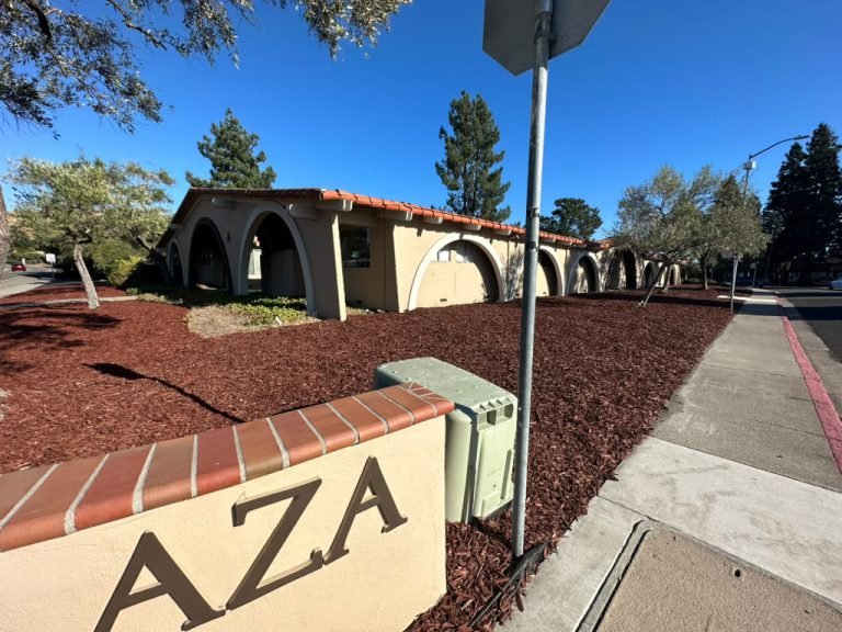 Landscaping project by HC Gardening & Landscaping in the East Bay Area
