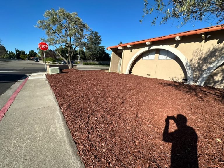 Landscaping project by HC Gardening & Landscaping in the East Bay Area