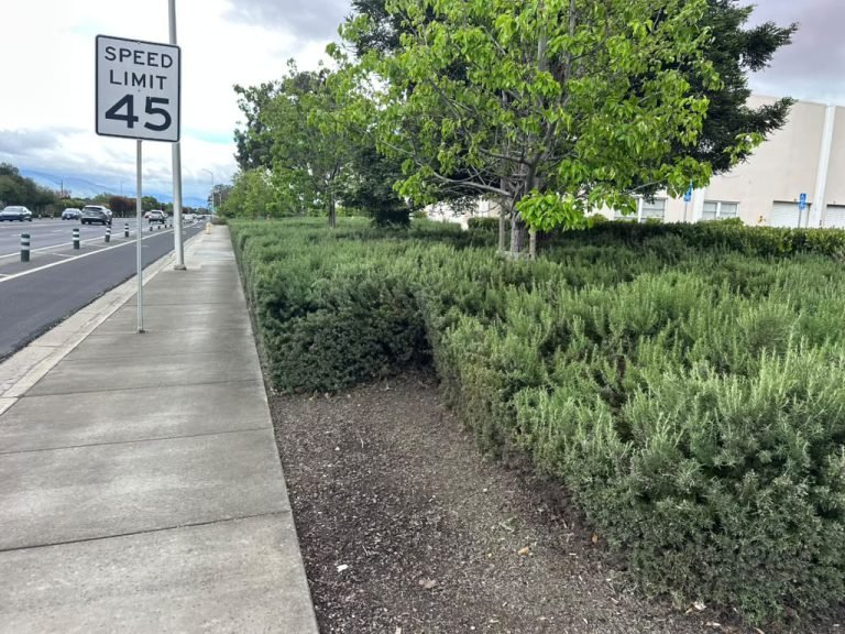 Landscaping project by HC Gardening & Landscaping in the East Bay Area