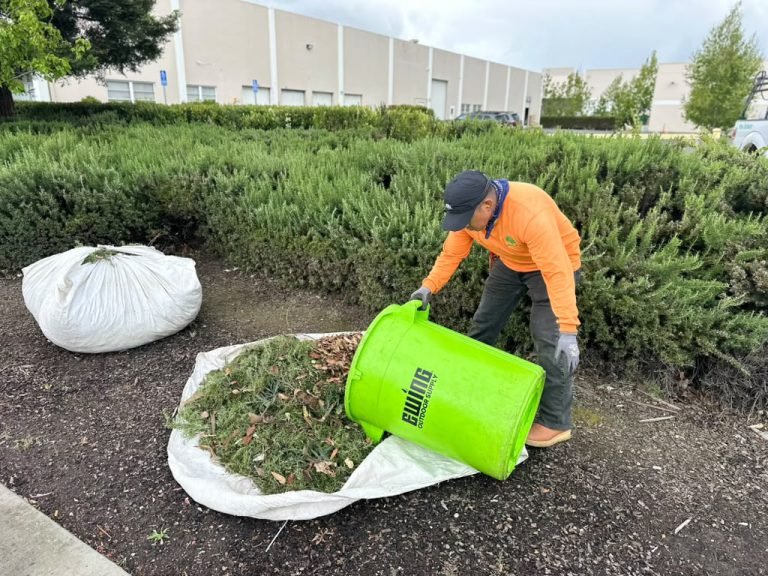 Landscaping project by HC Gardening & Landscaping in the East Bay Area