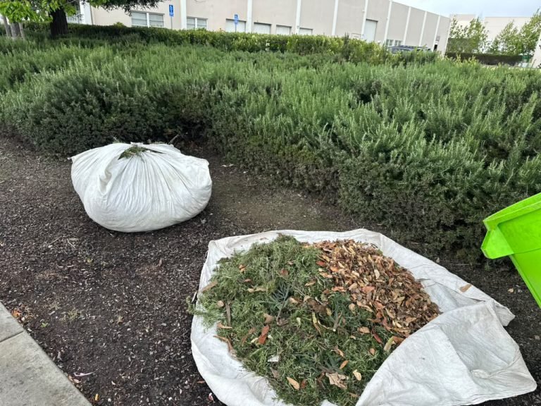 Landscaping project by HC Gardening & Landscaping in the East Bay Area