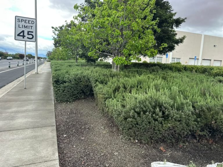 Landscaping project by HC Gardening & Landscaping in the East Bay Area