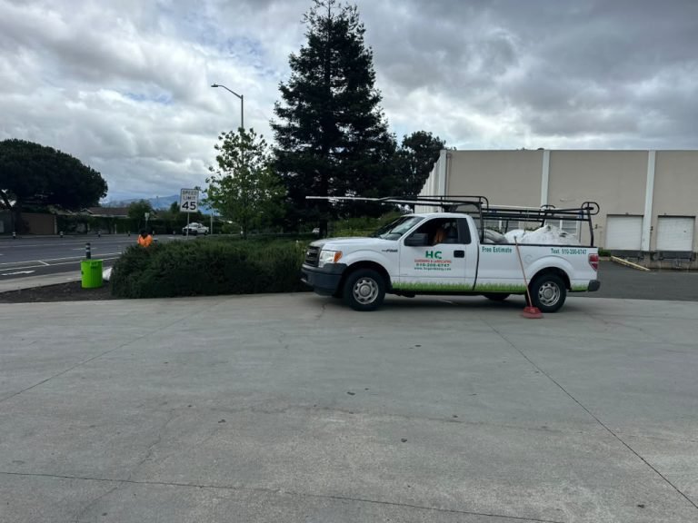 Landscaping project by HC Gardening & Landscaping in the East Bay Area