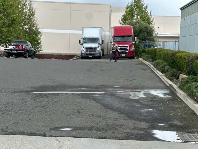 Landscaping project by HC Gardening & Landscaping in the East Bay Area