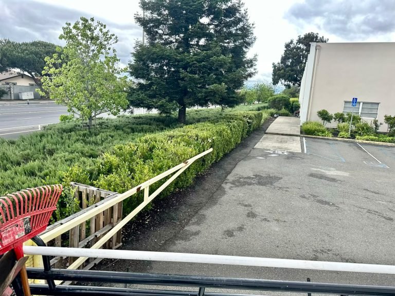 Landscaping project by HC Gardening & Landscaping in the East Bay Area