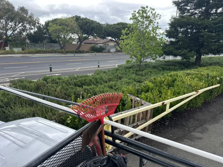 Landscaping project by HC Gardening & Landscaping in the East Bay Area