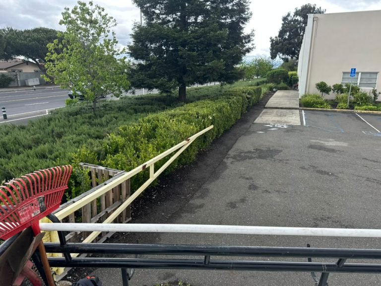 Landscaping project by HC Gardening & Landscaping in the East Bay Area