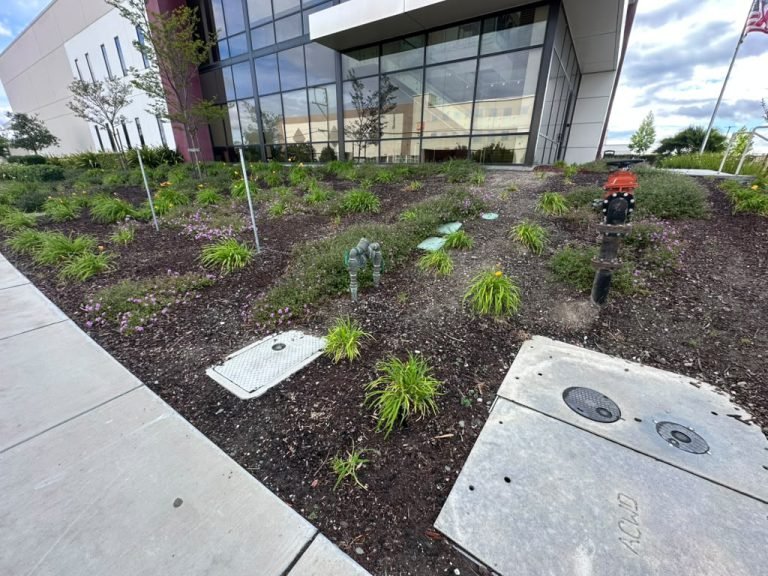 Landscaping project by HC Gardening & Landscaping in the East Bay Area