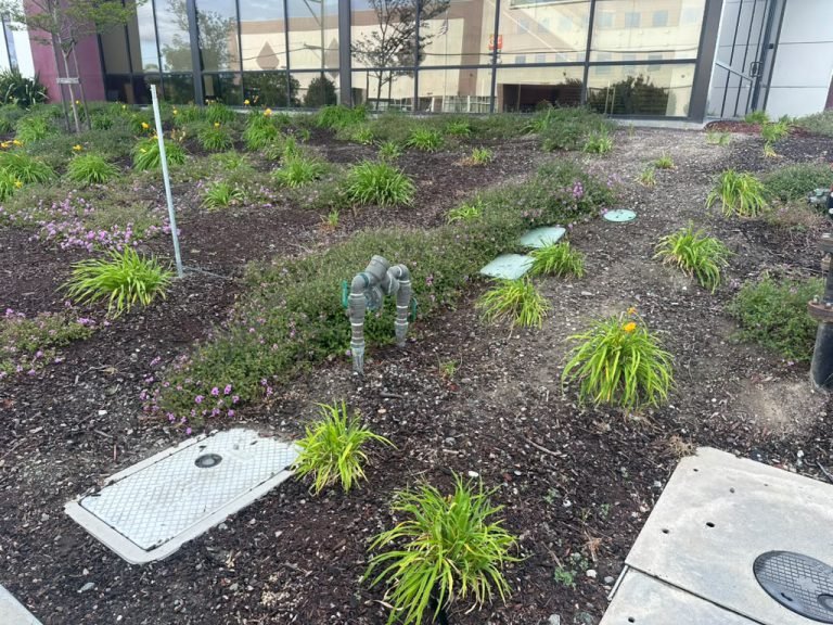 Landscaping project by HC Gardening & Landscaping in the East Bay Area