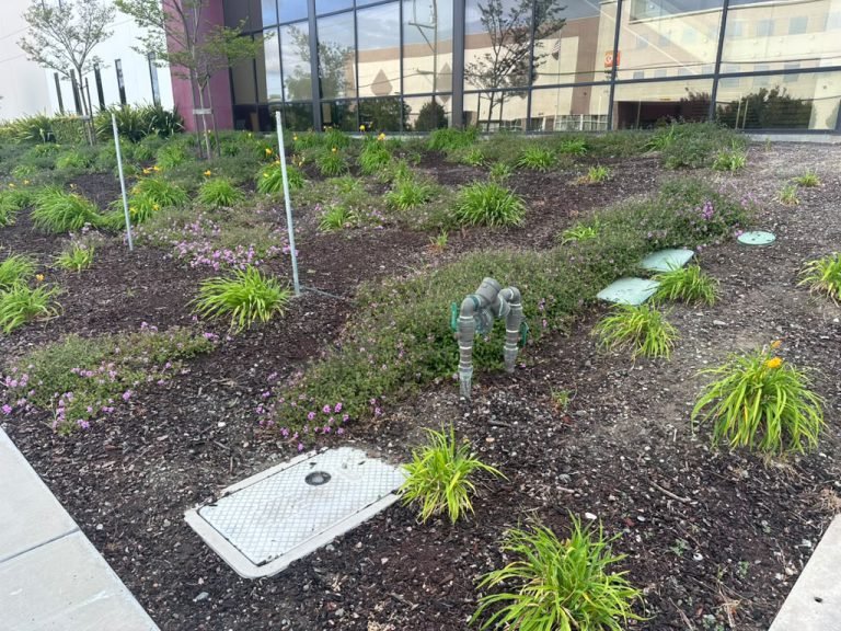 Landscaping project by HC Gardening & Landscaping in the East Bay Area