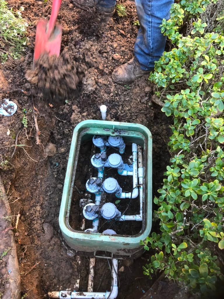 Landscaping project by HC Gardening & Landscaping in the East Bay Area