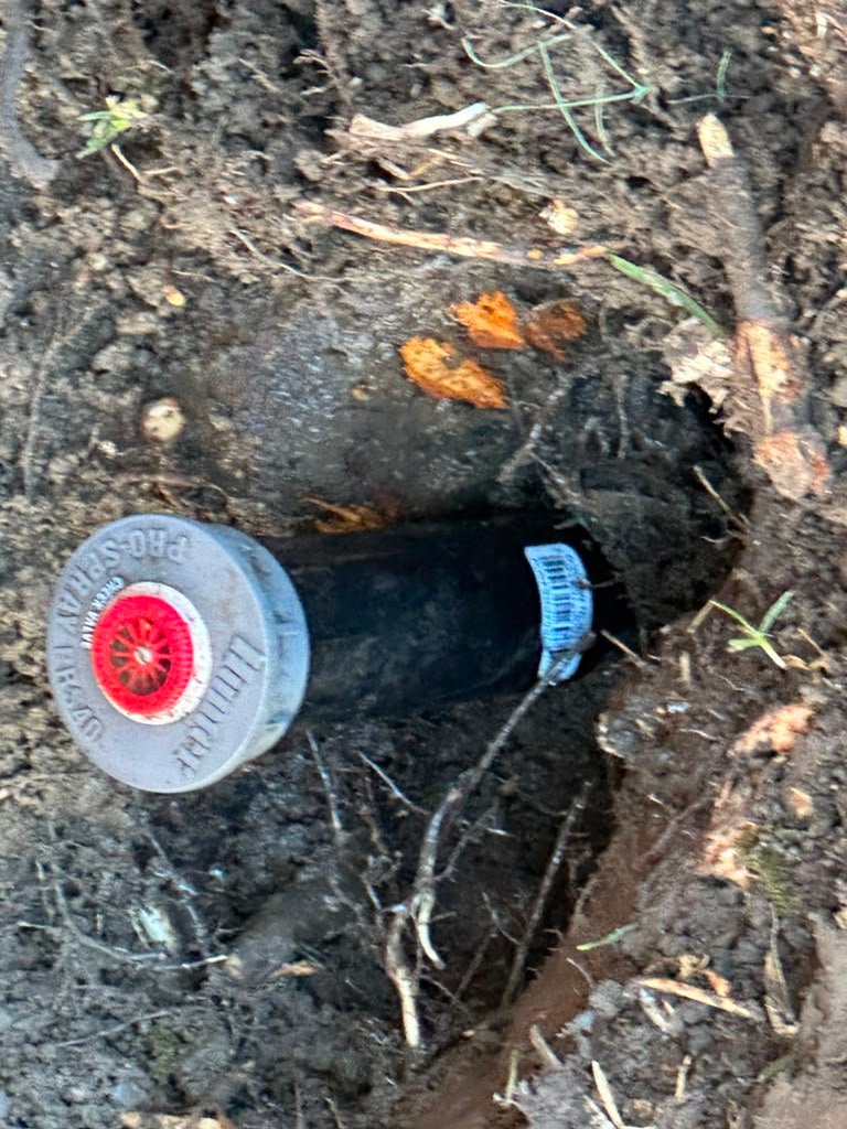Landscaping project by HC Gardening & Landscaping in the East Bay Area
