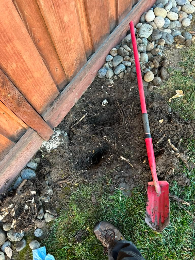 Landscaping project by HC Gardening & Landscaping in the East Bay Area