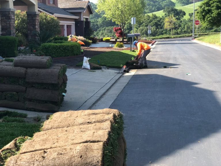 Landscaping project by HC Gardening & Landscaping in the East Bay Area