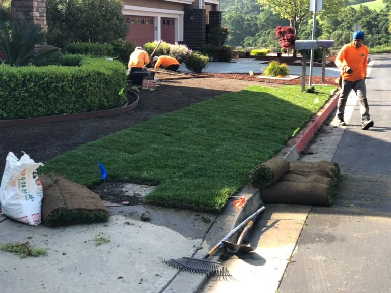 Landscaping project by HC Gardening & Landscaping in the East Bay Area