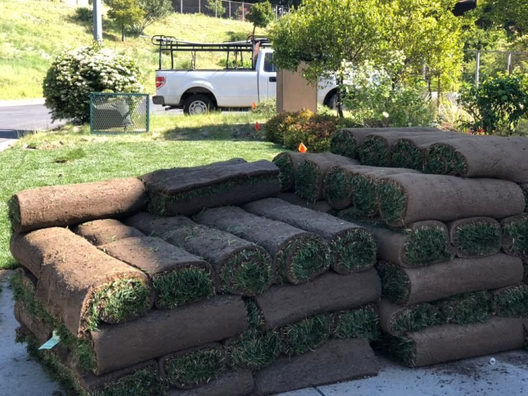 Landscaping project by HC Gardening & Landscaping in the East Bay Area