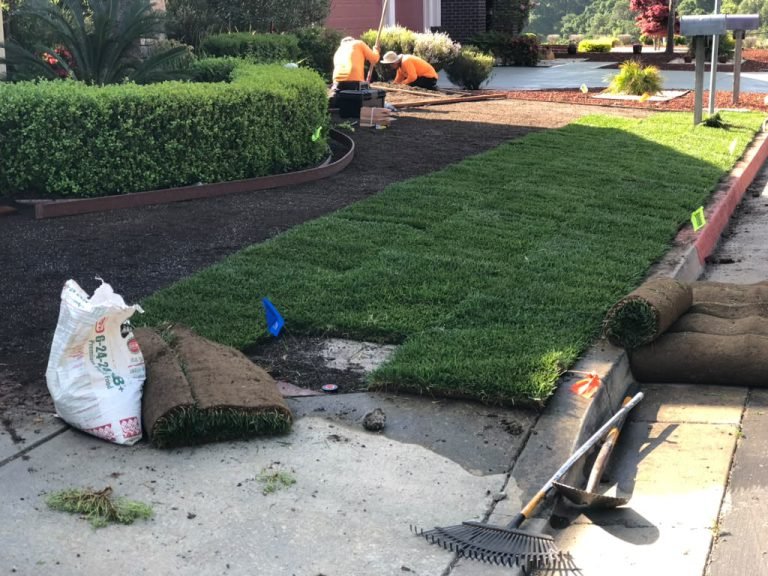 Landscaping project by HC Gardening & Landscaping in the East Bay Area