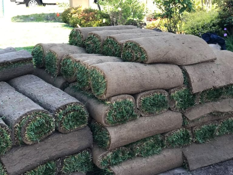 Landscaping project by HC Gardening & Landscaping in the East Bay Area