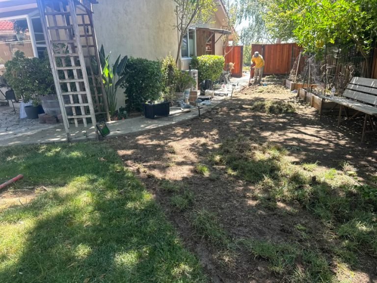 Landscaping project by HC Gardening & Landscaping in the East Bay Area