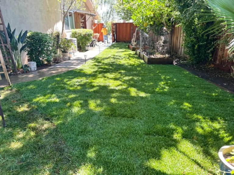 Landscaping project by HC Gardening & Landscaping in the East Bay Area