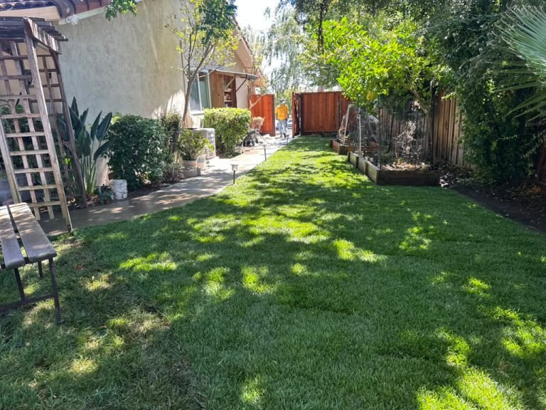 Landscaping project by HC Gardening & Landscaping in the East Bay Area