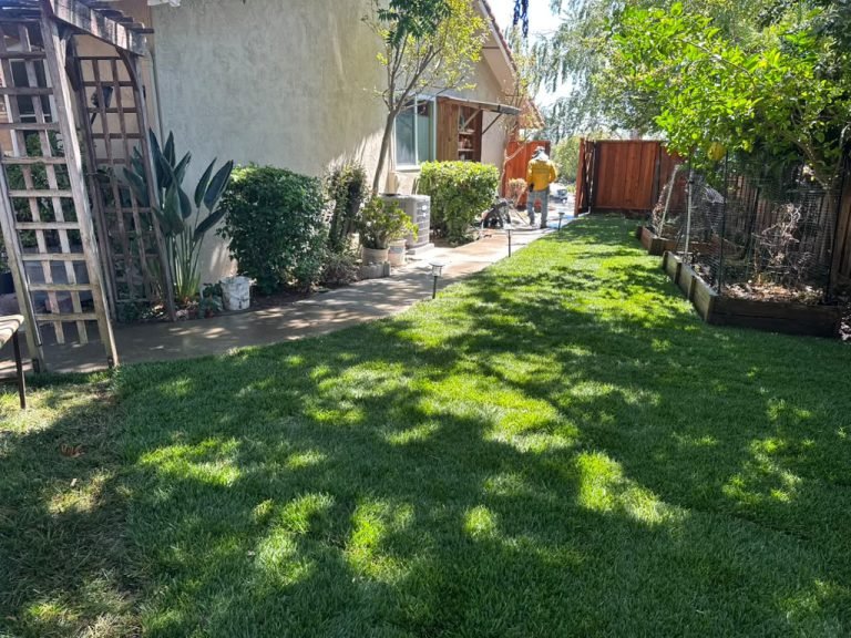Landscaping project by HC Gardening & Landscaping in the East Bay Area