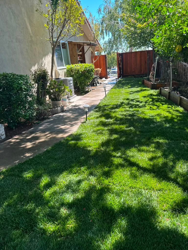 Landscaping project by HC Gardening & Landscaping in the East Bay Area