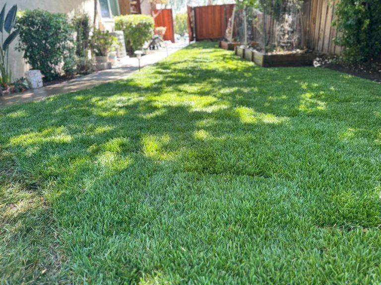 Landscaping project by HC Gardening & Landscaping in the East Bay Area