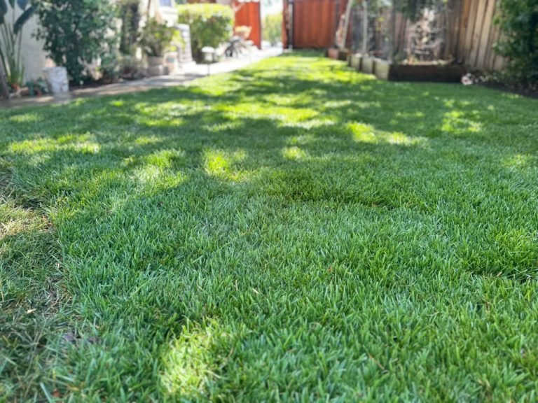 Landscaping project by HC Gardening & Landscaping in the East Bay Area